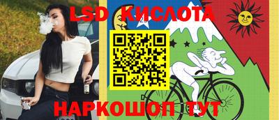 амф Бийск